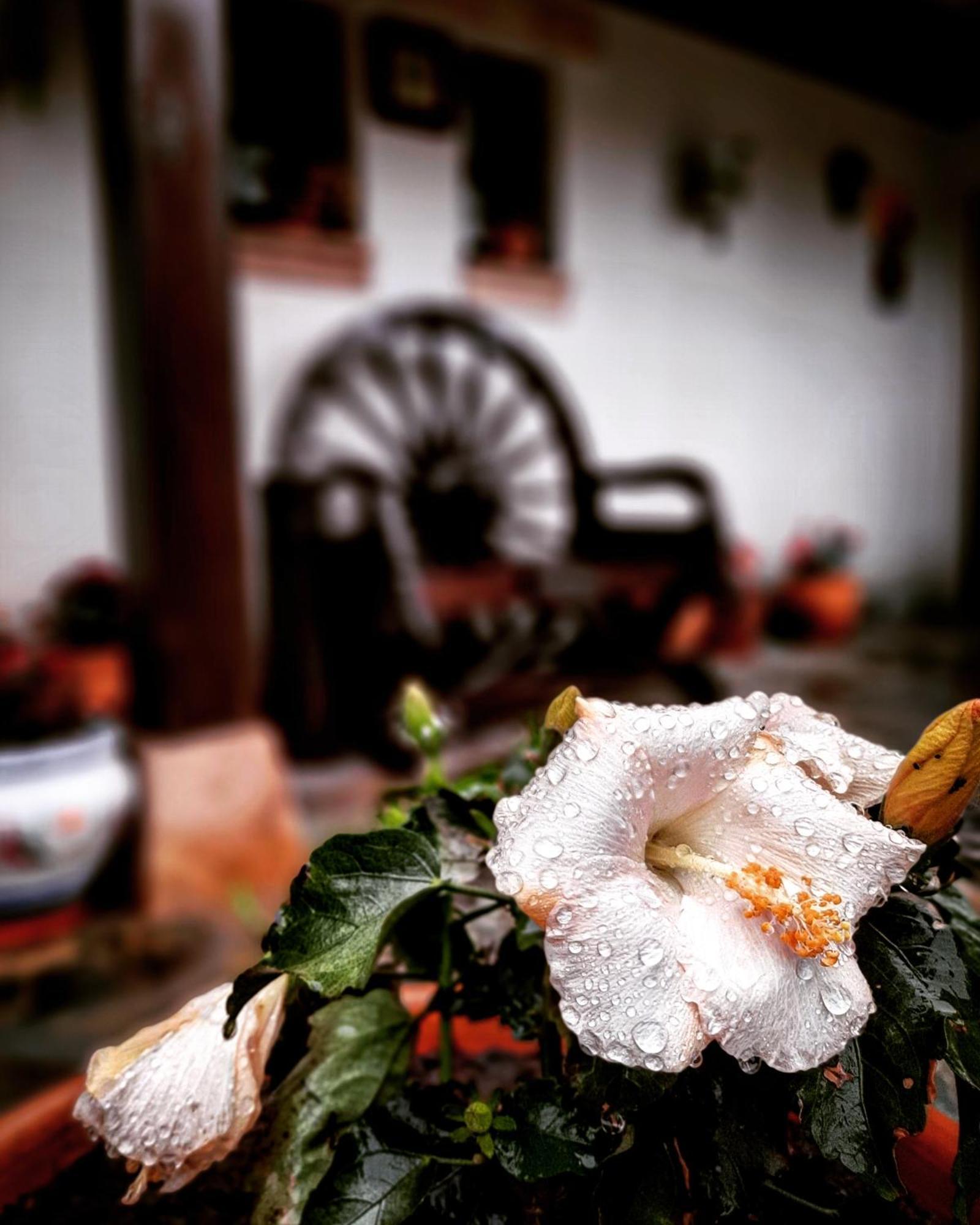 Posada Marina Suances Kültér fotó
